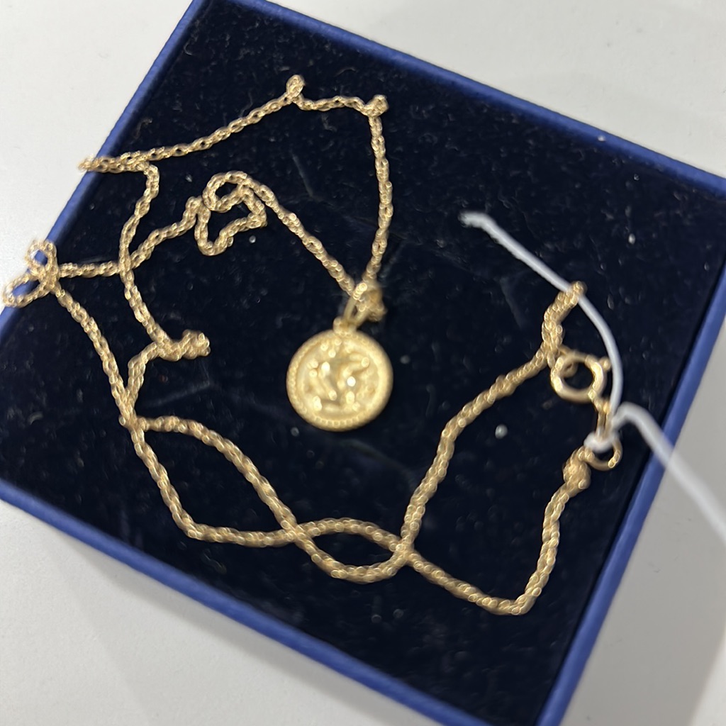 Stone & Strand Zodiac Coin Pendant Necklace Nwot — image 3 of 8